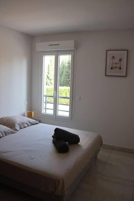 Suberbe Appartement Climatise Avec Terrasse Saint-Raphaël 외부 사진