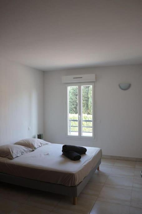 Suberbe Appartement Climatise Avec Terrasse Saint-Raphaël 외부 사진